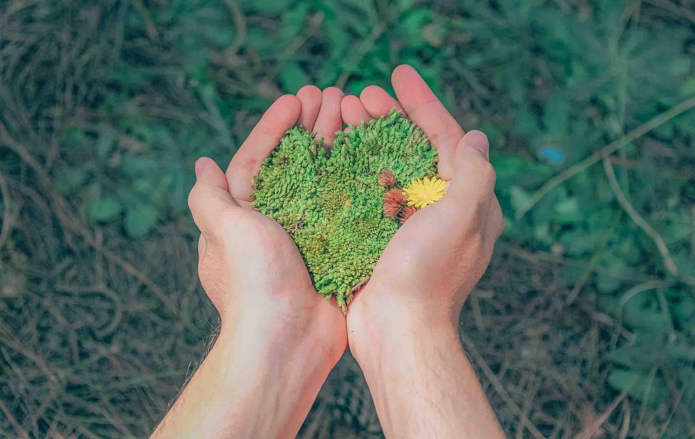 the-2020-environment-budget-UK